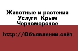 Животные и растения Услуги. Крым,Черноморское